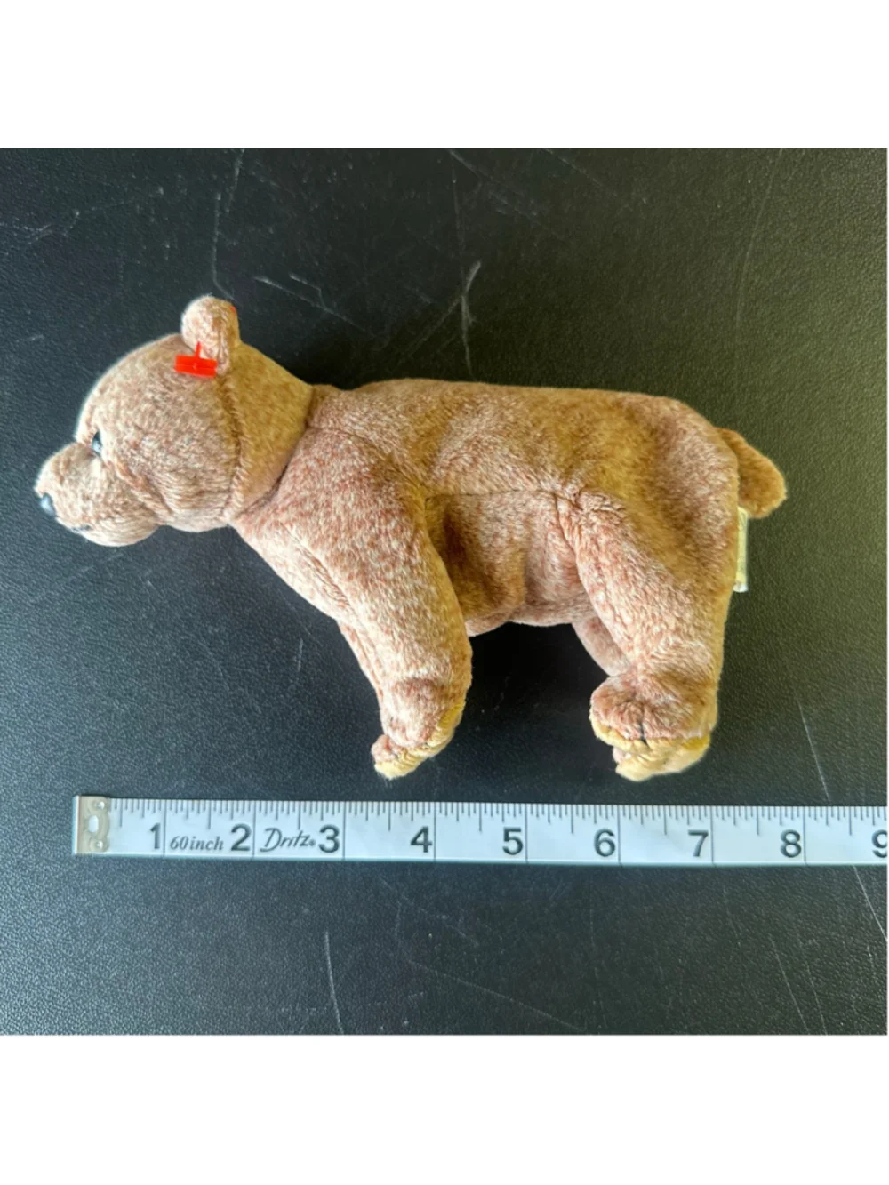 Y2K Franklin Activity Book + Ty Pecan Bear Plush 2000s Nostalgia Bundle